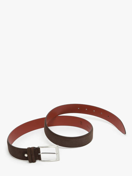 Riem Etrier Bruin bride EBRI712C ander zicht 3
